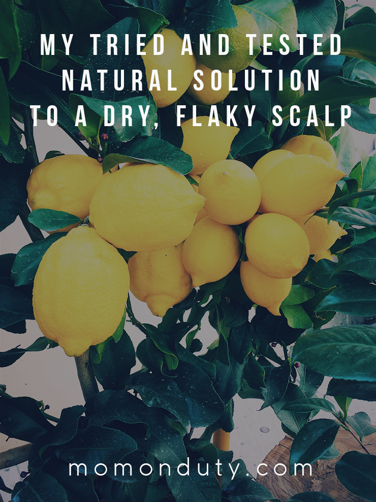 You are currently viewing My Tried and Tested Natural Solution to a Flake-free Scalp
